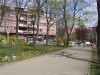 Bela Crkva