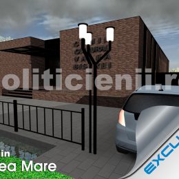Camin Valea Mare, rendare