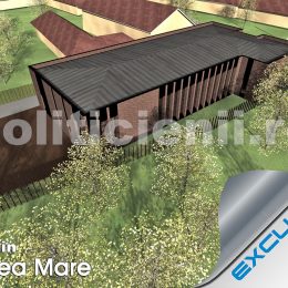 Camin Valea Mare, rendare