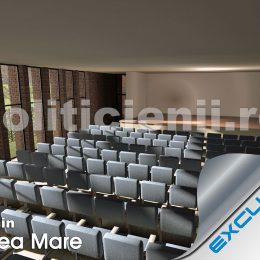 Camin Valea Mare, rendare