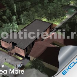 Camin Valea Mare, rendare