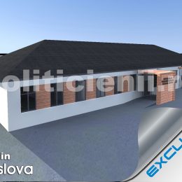 Camin Voislova, rendare