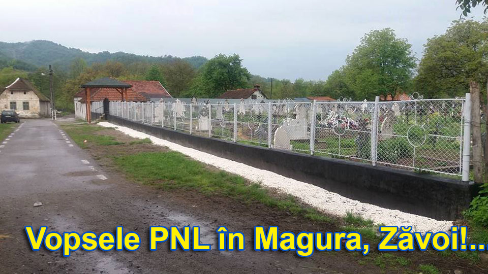 Vopsele PNL in Magura - Zavoi