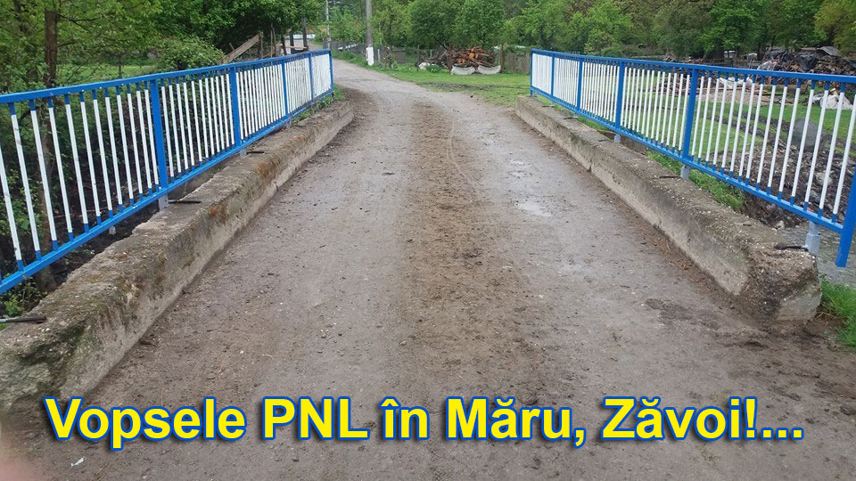 Vopsele PNL in Maru - Zavoi