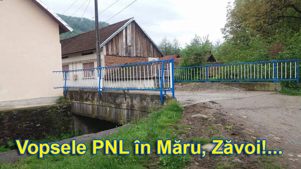 Vopsele PNL in Maru - Zavoi
