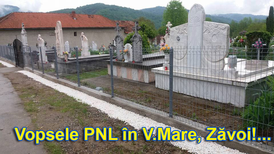 Vopsele PNL in Valea Mare - Zavoi