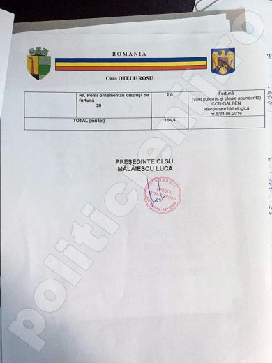 Raport sinteza 2 in Consiliul Local, 27 iunie 2016
