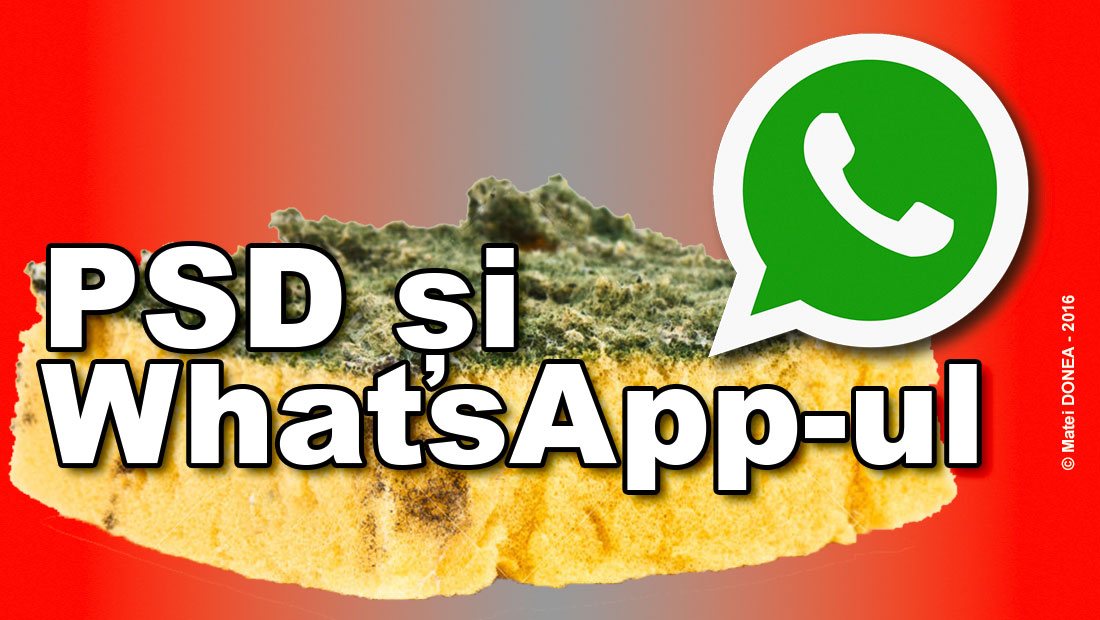 PSD si WhatsApp, stenograme TSD