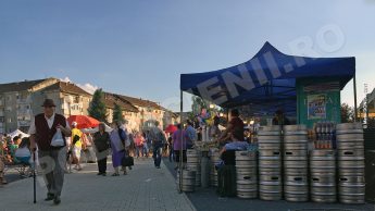Serbarile verii - 2017