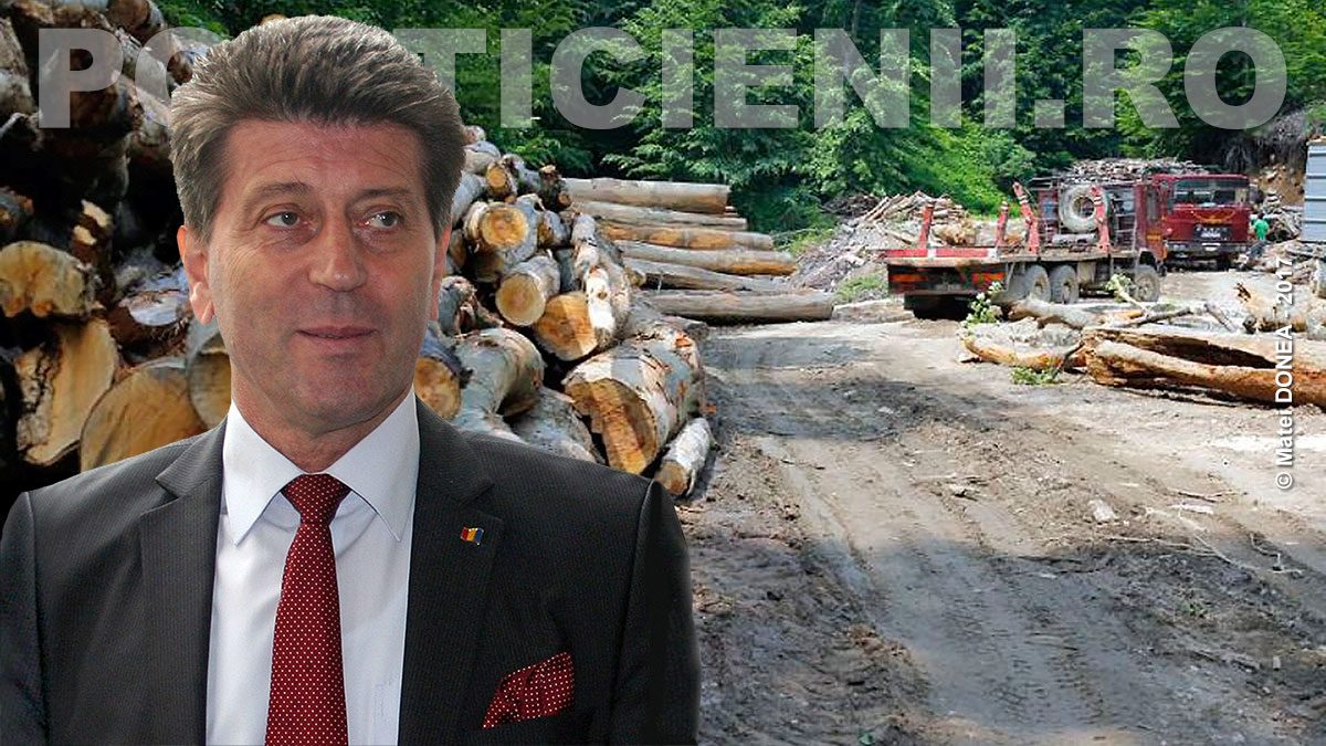 Ion Tabugan - Codul silvic
