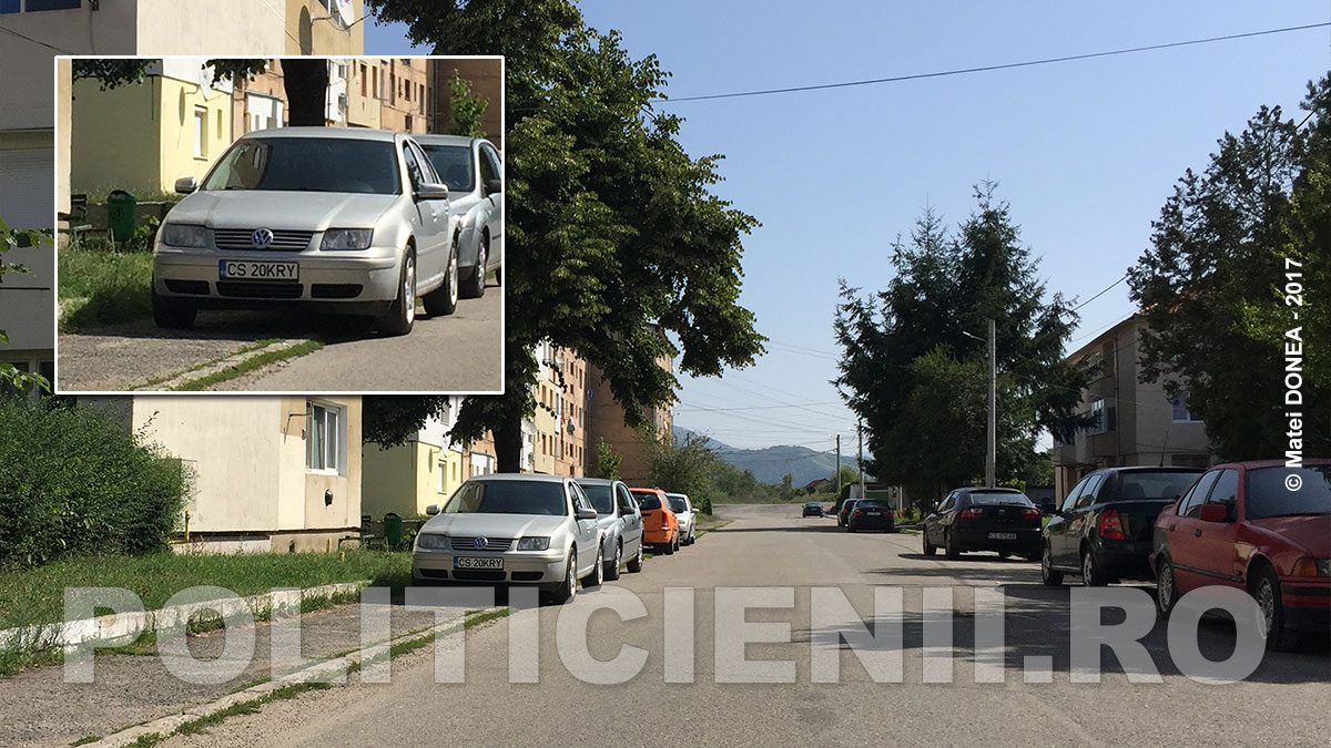 Otelu Rosu, orasul cu maimute, e plin orasul de maimute