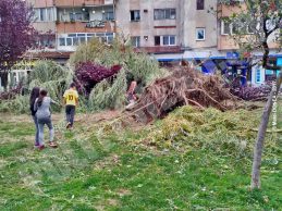 Str. 22 Decembrie