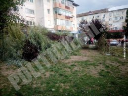Str. 22 Decembrie