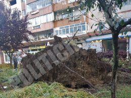 Str. 22 Decembrie