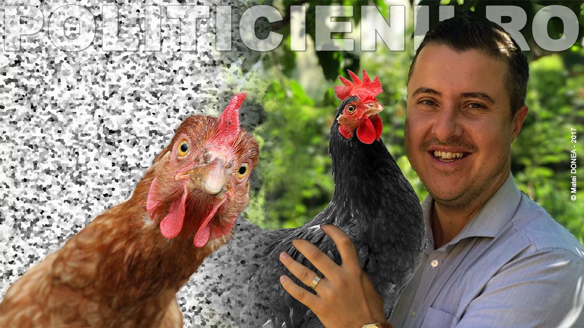Ionut Popovici fara gaina cu ouale de aur