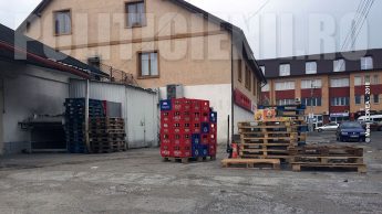 Magazin Profi Otelu Rosu