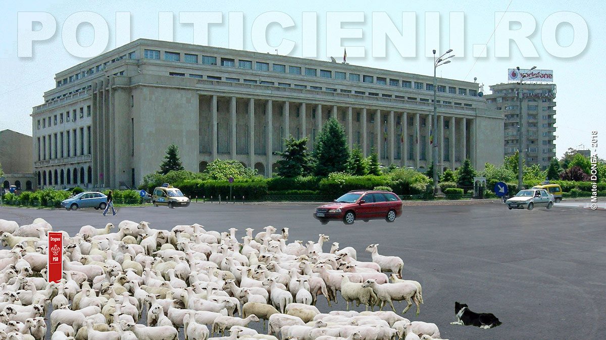Oile PSD la Palatul Victoria