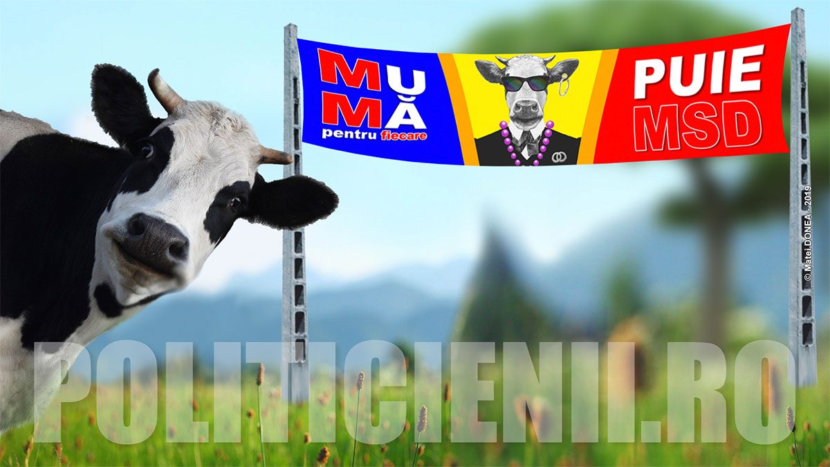 Bine ati venit la noi in staul