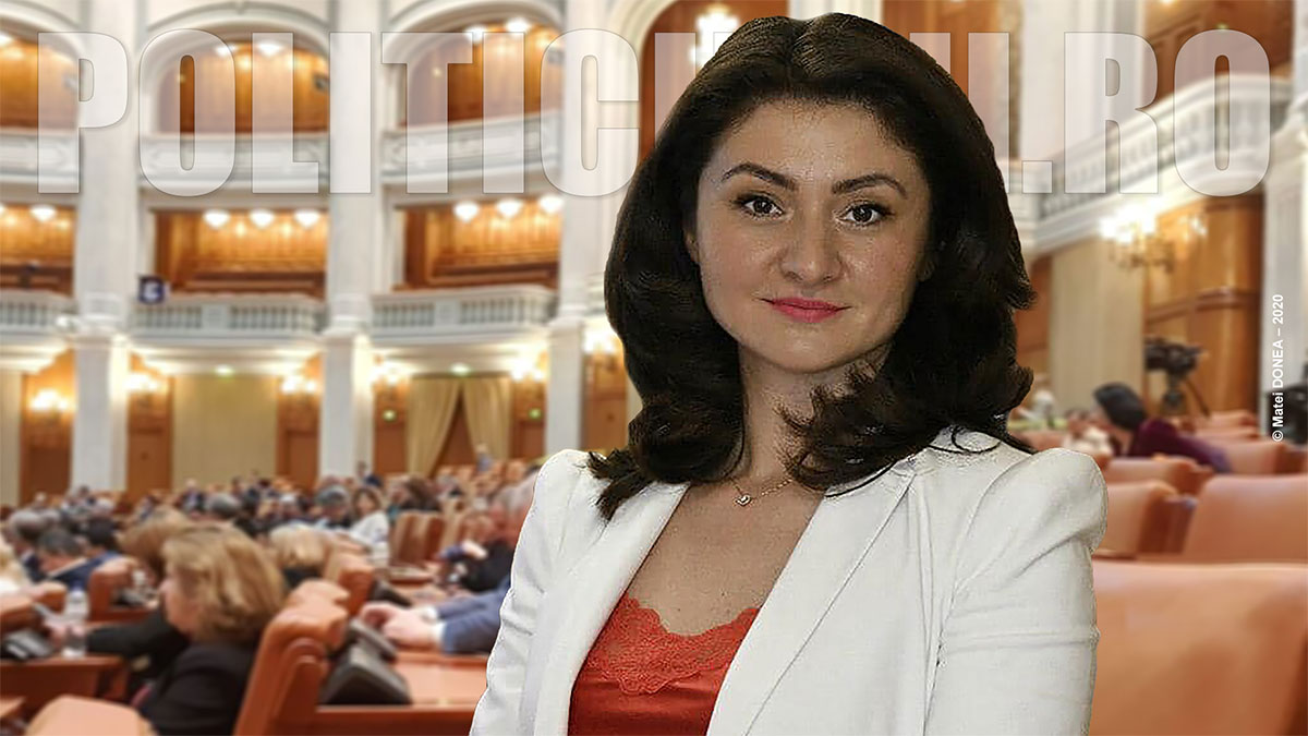 Luminita Jivan - Camera Deputatilor