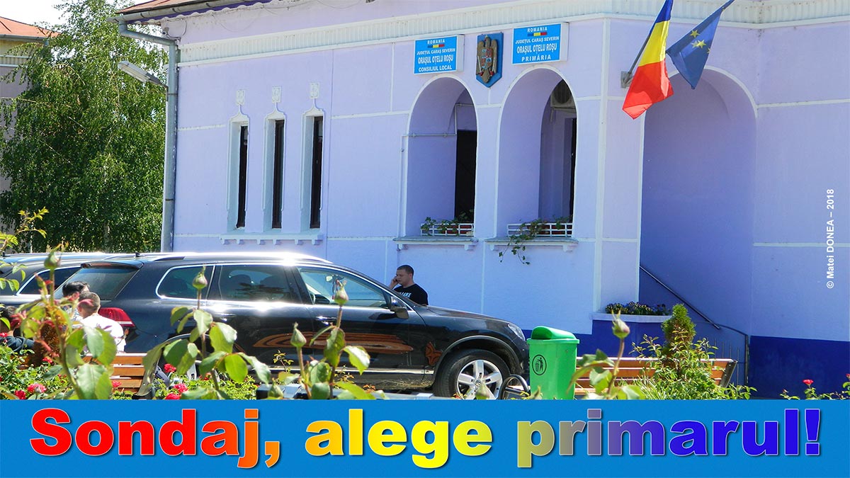Sondaj, alege primarul