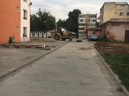 Reabilitari