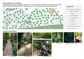 Andra Plesa, proiect "Parc Teius"