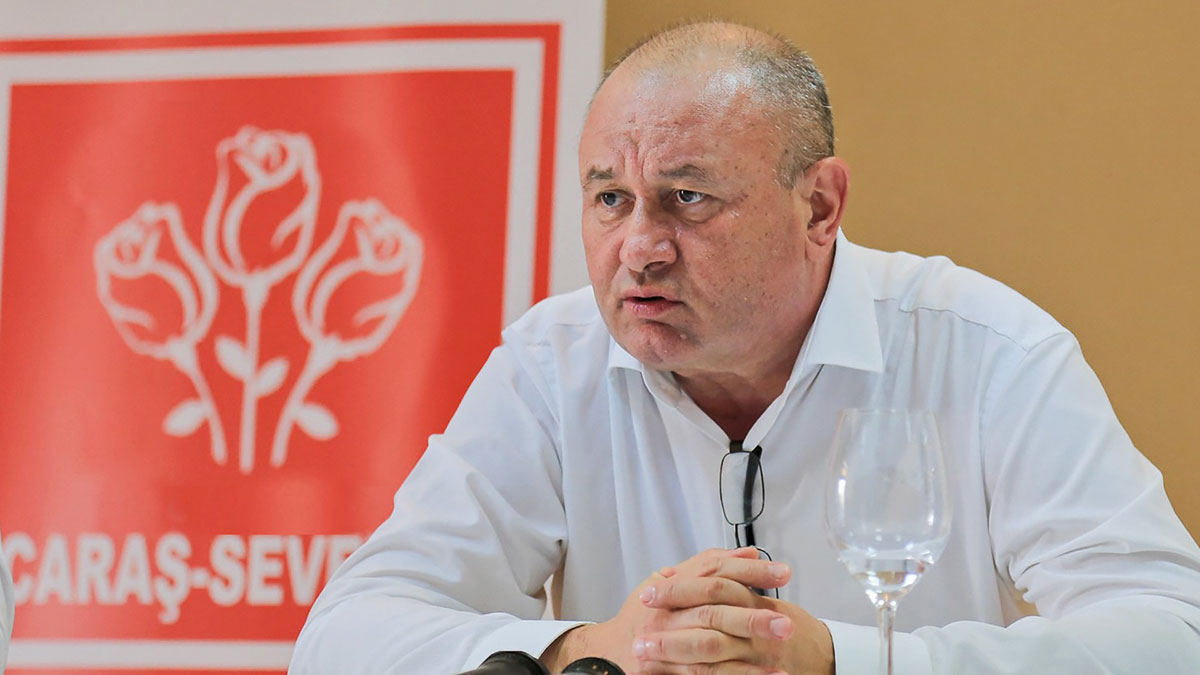 Ion Mocioalca, Senatul Romaniei