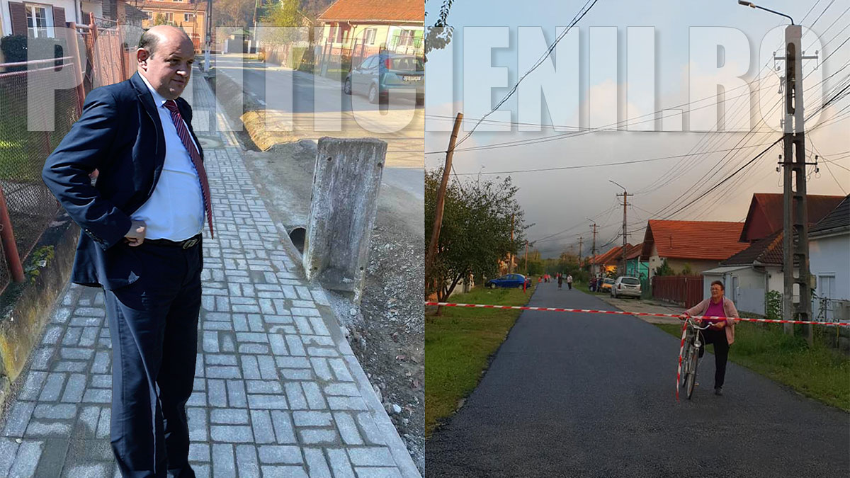 Luca Malaiescu, strada Mesteacanului