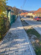 Trotuare, strada Mesteacanului
