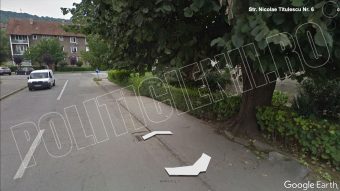 Arborele de pe Str Nicolae Titulescu Nr 6, prezentat de primar