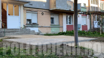 Pavare Str. Rozelor
