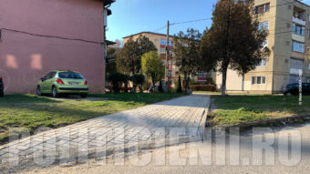 Pavare Str. Rozelor