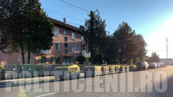 Pavare Str. Rozelor