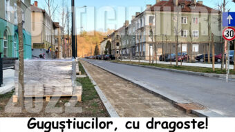 Gugustiucilor cu dragoste - editia 2022