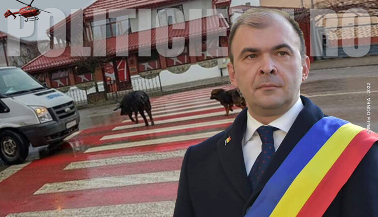 Ciudatenii pe strazile Caransebesului