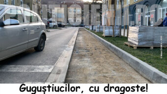 Gugustiucilor cu dragoste - editia 2022