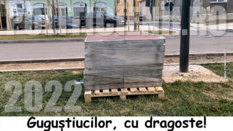 Gugustiucilor cu dragoste - editia 2022