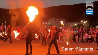 Amor- Fammis