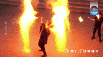 Amor- Fammis