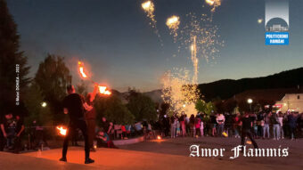 Amor- Fammis