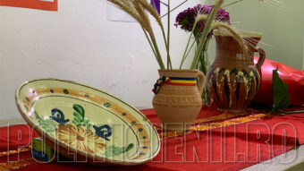 Didina CUREA, expozitie