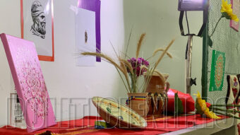 Didina CUREA, expozitie