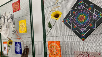 Didina CUREA, expozitie
