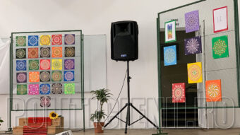 Didina CUREA, expozitie