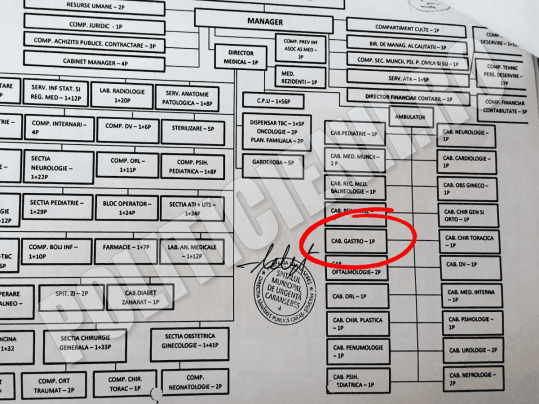 Organigrama aprobata in CL Caransebes