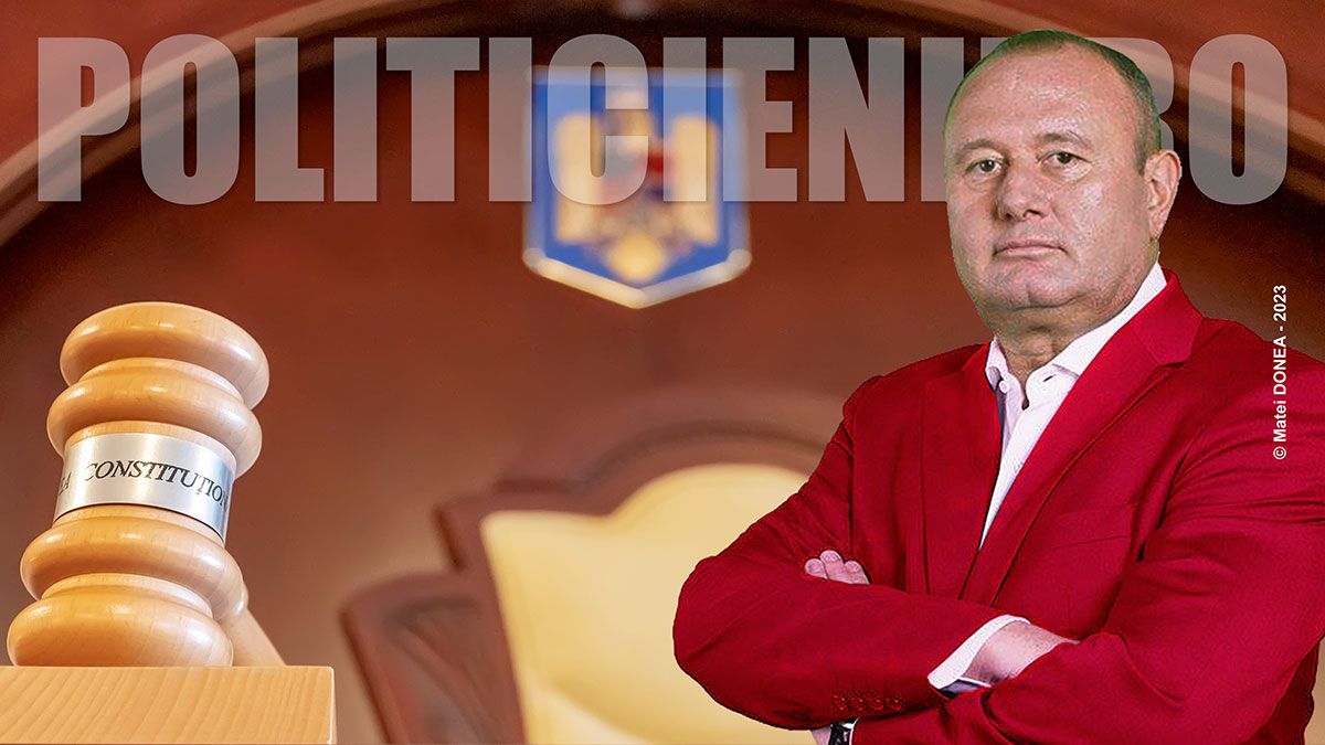 Ion Mocioalca la Curtea Constitutionala a Romaniei