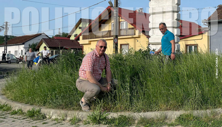 Harnicia lui Felix Borcean se vede in sensul giratoriu
