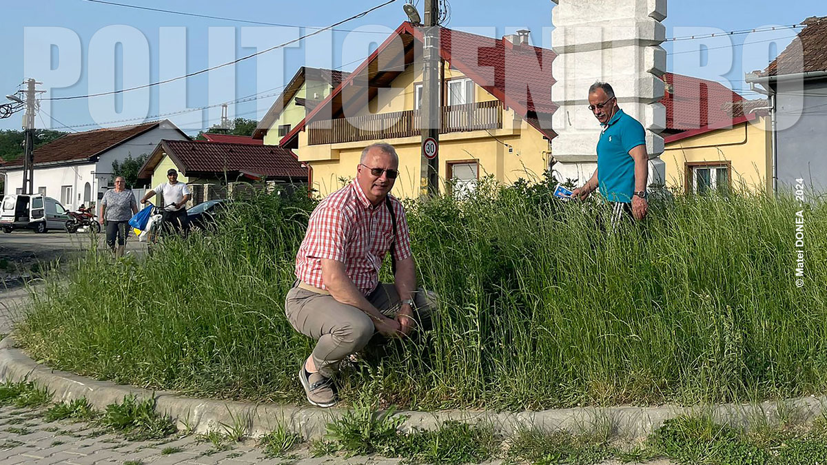 Harnicia lui Felix Borcean se vede in sensul giratoriu