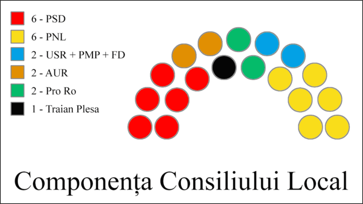 Componenta Consiliului Local Caransebes
