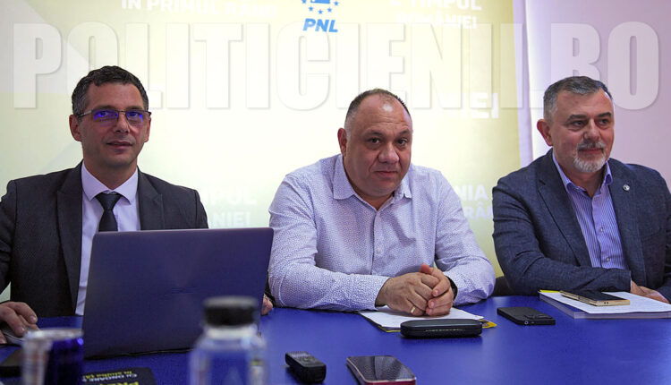 PNL - Conferinta de presa, Caras-Severin